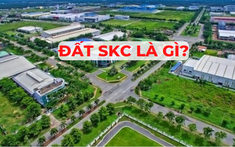 Những kiến thức cần biết về đất SKC