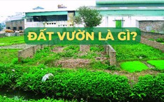 Đất vườn là gì?