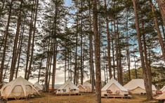 Glamping – Cắm trại sang chảnh: Xu hướng nghỉ dưỡng mới có trở thành kênh đầu tư hấp dẫn?