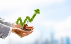 Tiềm năng sinh lời của bất động sản tại châu Á – Thái Bình Dương tăng 10% trong năm 2022