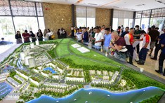 Lượng tìm kiếm thị trường Bình Châu Hồ Tràm bất ngờ tăng vọt tại phía Bắc