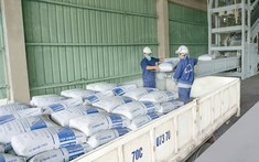 Xi măng đồng loạt tăng giá bán trong tháng 6