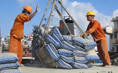 Thêm nhiều thương hiệu xi măng tiếp tục tăng giá bán lần thứ 3