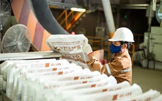 Giá xi măng chênh lệch theo khu vực, sẽ còn tăng trong tháng tới