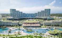 Cổ phiếu FLC, ROS đua nhau hút tiền, tím trần liên tiếp