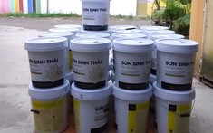 Sơn sinh thái là gì? Loại nào được sử dụng phổ biến nhất 2022