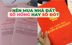 Nên mua nhà đất đã có sổ hồng hay sổ đỏ?