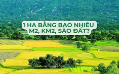 1 hecta bằng bao nhiêu m2, km2, sào đất?