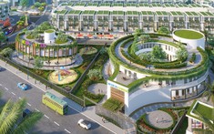 Du lịch xanh ven biển lên ngôi, Quy Nhơn trở thành điểm sáng