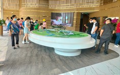 Nhà liền thổ phía Nam tiếp tục lập đỉnh giá mới