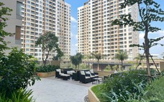 Căn hộ trên dưới 45 triệu/m2 được tìm kiếm nhiều trên chợ trực tuyến