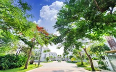 TP.HCM ưu tiên mở đường, xây nút giao thông vùng đô thị cảng Cát Lái