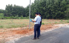 Đồng Nai: dòng tiền vẫn đổ về loại hình đất nền giá rẻ