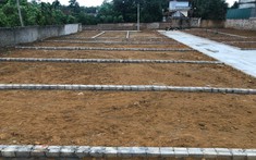 Đất nền vùng ven giá tăng, thanh khoản tốt ở phân khúc giá rẻ
