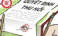 Thu hồi đất là gì? Cách tính tiền bồi thường khi thu hồi đất