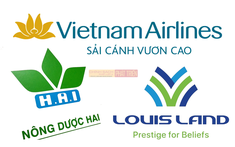 Vietnam Airlines, Louis Land, Nông dược HAI  bị Ủy ban Chứng khoán xử phạt
