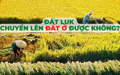 Đất LUK là gì, có chuyển lên đất ở được không?