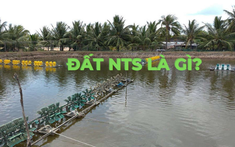 Đất NTS là gì, có lên thổ cư được không?
