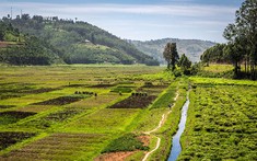 Giao đất và cho thuê đất khác nhau như thế nào?