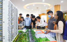Đà tăng giá bất động sản có dấu hiệu chững lại
