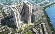 BVSC dự báo năm 2022, Phú Tài ghi nhận 964,2 tỷ đồng doanh thu và 391,6 tỷ đồng lợi nhuận từ dự án Phu Tai Residence