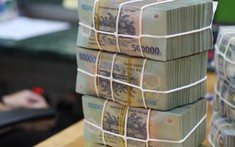 Nghị quyết về phát triển thị trường vốn: Không hình sự hóa các quan hệ dân sự, quan hệ kinh tế