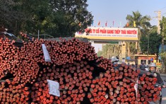 Giá vốn bào mòn tới 90% lợi nhuận của Gang thép Thái Nguyên