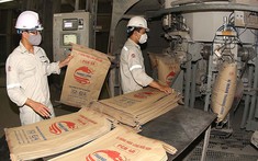 Giá bán tăng cao, tiêu thụ xi măng gặp khó