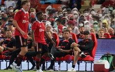 các fan của Man United