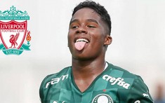 'Kho báu của Palmeiras' là  của Liverpool
