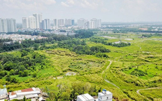 Cổ đông Quốc Cường Gia Lai lo Sunny Island đem 65ha đất dự án Phước Kiển đi thế chấp
