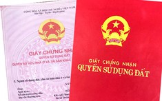 Nguồn gốc sử dụng đất được ghi trong sổ đỏ thế nào?
