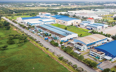 4 thông tin, dữ liệu về dự án bất động sản phải được cập nhật từ ngày 15/8/2022