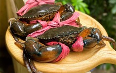 Cua ghẹ Việt Nam “đua nhau” xuất khẩu sang thị trường Mỹ, Trung Quốc, Nhật: Nguyên nhân là do đâu