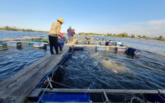 Đất MNC là gì? Quy định cho thuê đất MNC mới nhất hiện nay