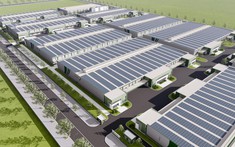 KCN Việt Nam và TotalEnergies hợp tác phát triển hệ thống điện năng lượng mặt trời.