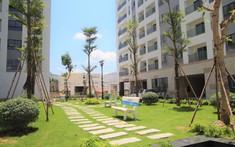 “Đi ngược chiều gió” Iris Tower đón lượng giao dịch sôi động trong tháng ngâu