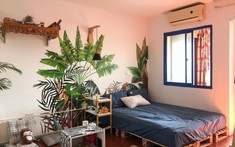 Cách decor phòng trọ sinh viên chi phí thấp mà vẫn ấn tượng