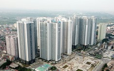 Giá tăng mạnh, nhà đầu tư quay lại đầu tư chung cư
