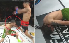 Võ sĩ MMA tung đòn 'tàn bạo chưa từng thấy' tiễn đối thủ vào cơn mê