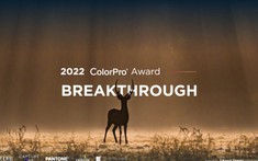 Cuộc thi ảnh toàn cầu ColorPro Award 2022 đã diễn ra