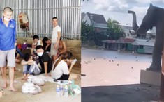 Vỡ mộng làm giàu: 41 người Việt Nam tháo chạy khỏi casino Campuchia, bơi qua sông về nước