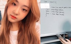 Không ca hát hay nhảy múa, nữ idol Hàn Quốc livestream dạy ngôn ngữ lập trình cho fan