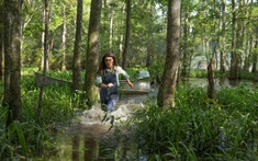 'Where The Crawdads Sing' nhận 'cơn mưa lời khen' cùng điểm số cao ngất