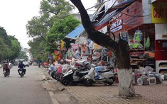 Hoà Bình đấu giá hơn 2.500m2 đất tại thành phố, giá khởi điểm 248 tỉ đồng