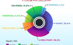 Thị phần ngành thép và tôn mạ biến đổi ra sao trong năm 2022?
