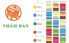 Tuổi Dần hợp màu gì? Chọn màu nội thất nhà hợp phong thủy