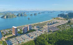 Năm dự án lấn biển quy mô lớn tại Quảng Ninh