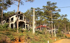 Chậm triển khai, một doanh nghiệp ở Kon Tum bị thu hồi đất cho thuê