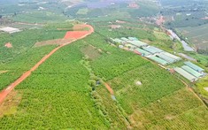 THACO muốn làm dự án Tổ hợp 50.000 tỷ đồng tại Lâm Đồng